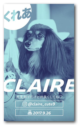 長方形ペット名刺画像