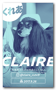 犬のペット名刺