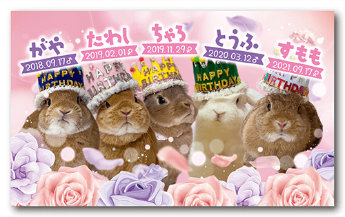 長方形ペット名刺の表面画像