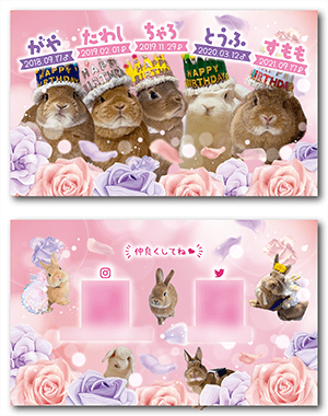 うさぎ（多頭飼い）のペット名刺