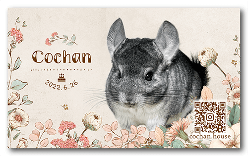 ペット名刺の表面画像