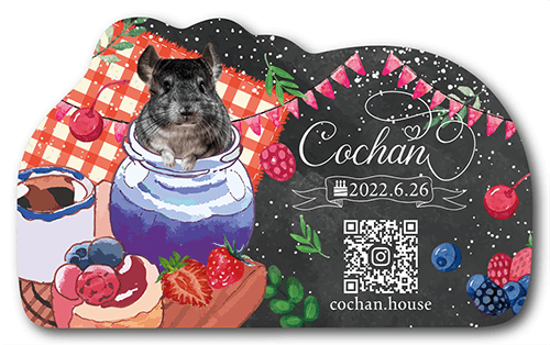 ペット名刺の裏面画像