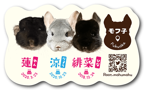 型抜きペット名刺の裏面画像