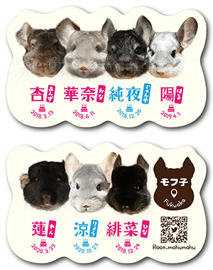 犬のペット名刺