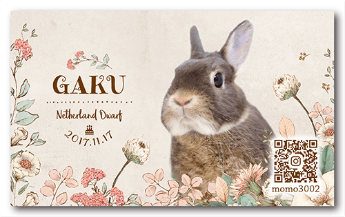 長方形ペット名刺の表面画像