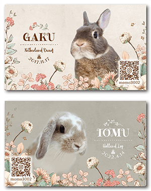 犬のペット名刺