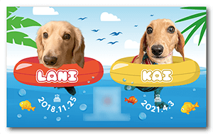 犬のペット名刺