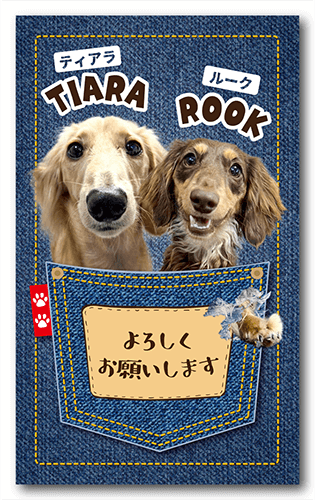 ペット名刺の表面画像