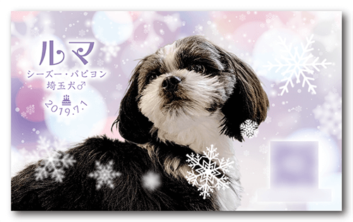 アイボの長方形ペット名刺画像