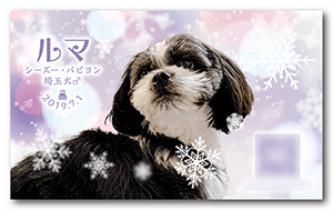 アイボのペット名刺