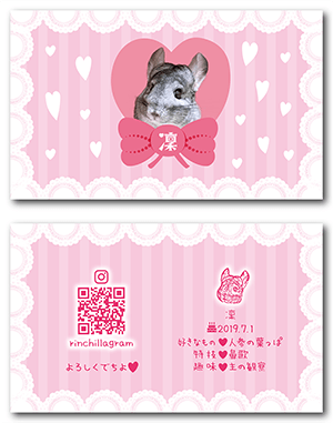 チンチラのペット名刺