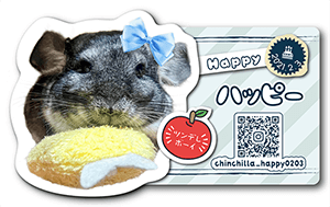チンチラのペット名刺
