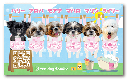 長方形ペット名刺の裏面画像