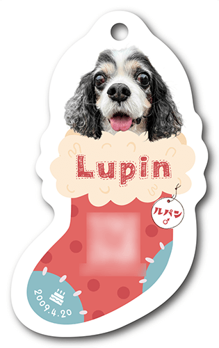 型抜きペット名刺画像