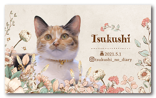 長方形ペット名刺の裏面画像