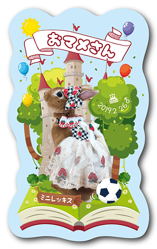 型抜きペット名刺の表面画像