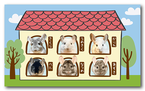 長方形ペット名刺の表面画像