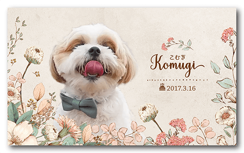 長方形ペット名刺の表面画像