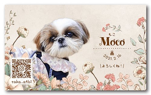 長方形ペット名刺の裏面画像