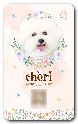 ペット名刺画像