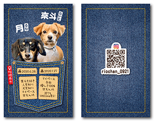 犬（多頭飼い）のペット名刺