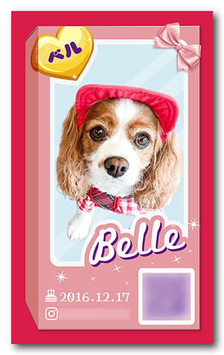 長方形ペット名刺画像