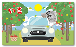 チンチラの名刺