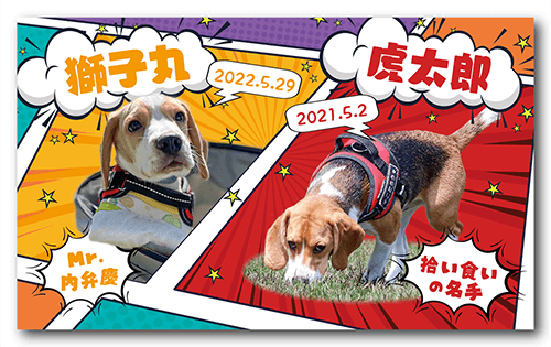 長方形ペット名刺の表面画像