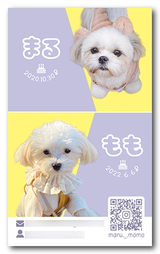 犬のペット名刺画像