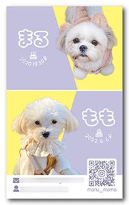 犬のペット名刺