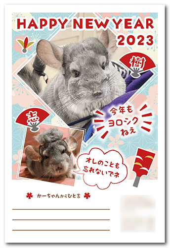 チンチラの年賀状画像