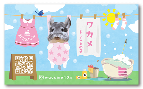 犬の長方形ペット名刺画像