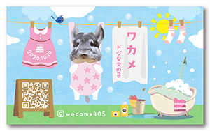 チンチラのペット名刺