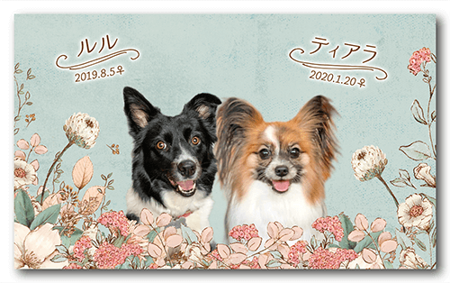 ペット名刺の表面画像