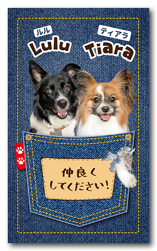 ペット名刺の表面画像