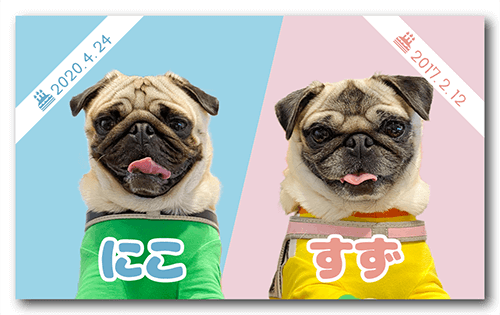 長方形ペット名刺の表面画像