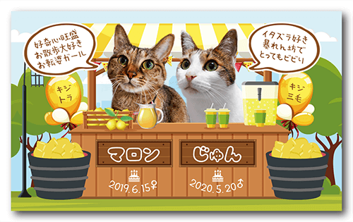 長方形ペット名刺の表面画像