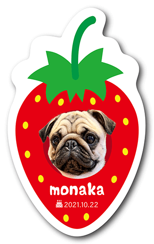 長方形ペット名刺の表面画像