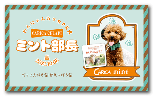 長方形ペット名刺の表面画像