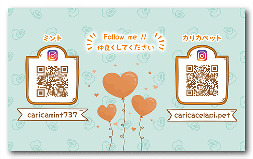 長方形ペット名刺の裏面画像