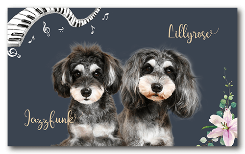 ペット名刺の表面画像