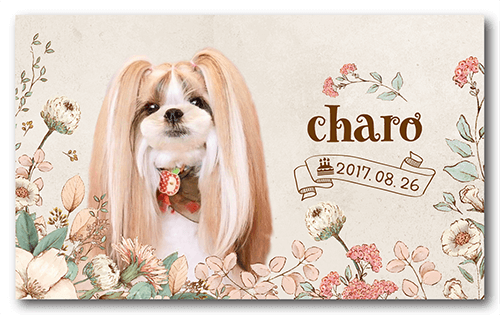 長方形ペット名刺の表面画像