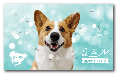 長方形ペット名刺の表面画像