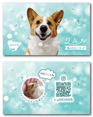 犬のペット名刺