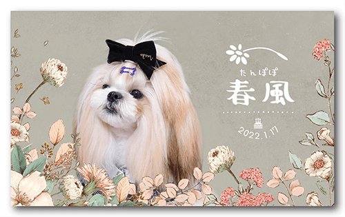 長方形ペット名刺の表面画像