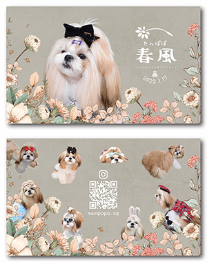 犬のペット名刺