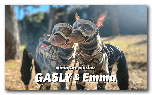 長方形ペット名刺の表面画像