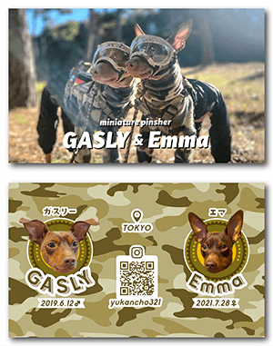 犬のペット名刺