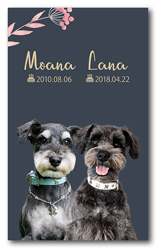 ペット名刺の表面画像