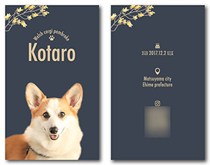 犬のペット名刺